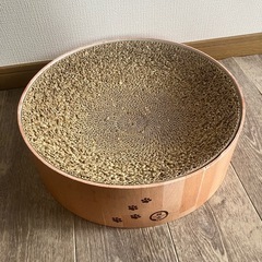 バリバリボウル猫壱