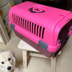 ペットケージ　中古