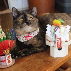 超超超甘えん坊なのりたま