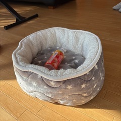 ペットベッドあげます🐶😸（予定者がいます）の画像
