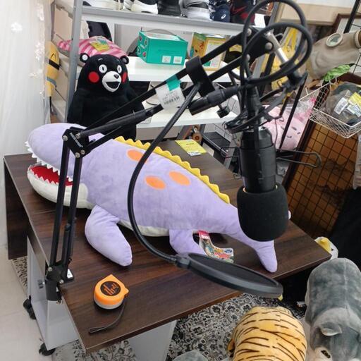 ★ジモティー割あり★ NEEWER コンデンサーマイク/スタンドセット NW-800　　 高さ(H)--cm× 幅(W)--cm× 奥行(D)--cm【joh3792】