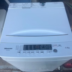 【極美品】2023年製　洗濯機　5.5kg Hisense HW-K55E