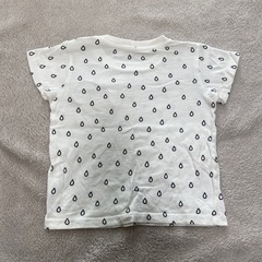 半袖(ボリス)の画像