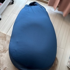 決まりました！　ビーンズもどきクッション