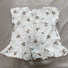 セットアップの画像