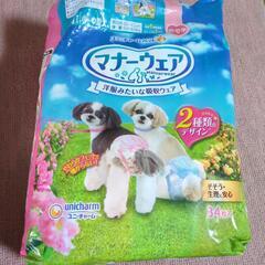 マナーウェアMサイズ女の子用