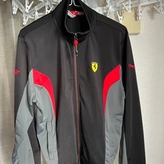 フェラーリのプーマブラウス