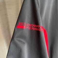 フェラーリのプーマブラウスの画像