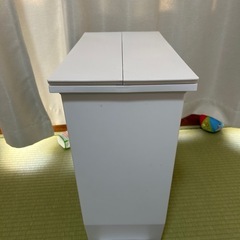 ペダルダストボックス35L 両開き　ゴミ箱　キッチン