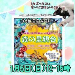 1月森の里親会inミキズハウスマルシェ