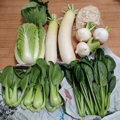 新年のお野菜７点