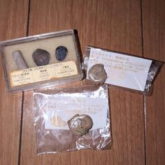 アンモナイト　三葉虫など　化石　差し上げます。