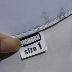 スキーブーツ　18～19cm　キッズ　ジュニア　ビッグホーンの画像