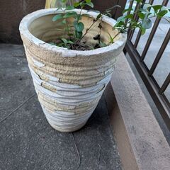 planter花瓶　中古