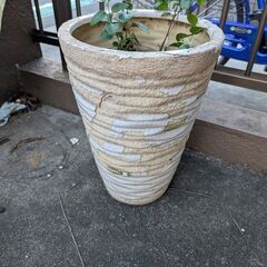 planter花瓶　中古の画像