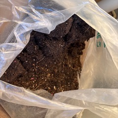 園芸用品セット譲ります。の画像