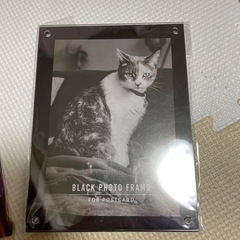 写真立て ライトの画像