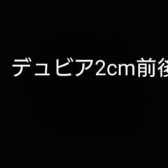 エサ用デュビア