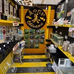 睡蓮！マハソンバット