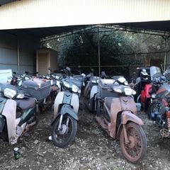 super cub AA04(5台)の画像