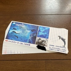 新江ノ島水族館　ご招待券