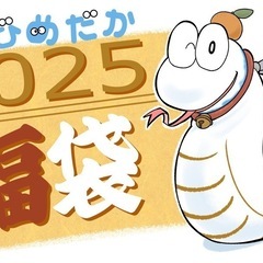 【残りわずか】のびめだか  2025年 福袋
