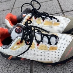 マムート  24.5 レディース　※3月末処分