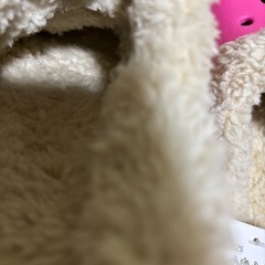 最終値下げ‼️新品未使用💕ジュニア　クロックス風ふかふかサンダル　約21.5㎝💕の画像