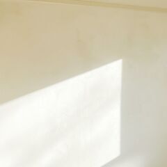 カビに強い内壁材！ 珪藻土 エコクイーン（内壁材）NSR-4　大1袋の画像