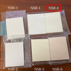 カビに強い内壁材！ 珪藻土 エコクイーン（内壁材）NSR-4　大1袋の画像