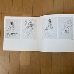 山田かまち画集の画像