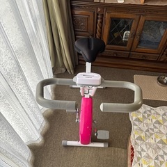 アルインコ　エアロバイクの画像