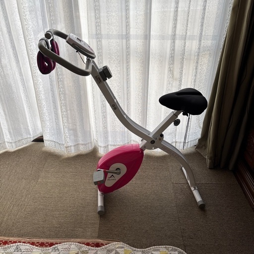 アルインコ　エアロバイク