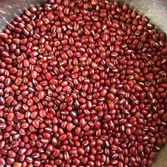 令和6年　北海道十勝産 小豆　特撰　300g 