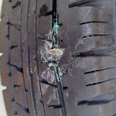 145/80R12   ダンロップ　と　ヨコハマ　のタイヤです。の画像