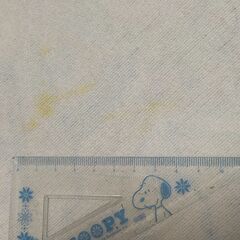 【無料】毛布（シミあり）の画像