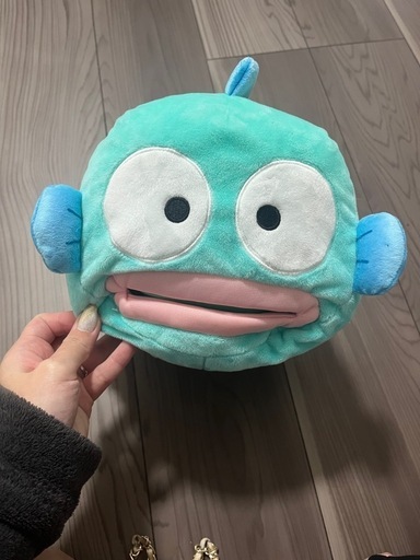 ハンギョドン