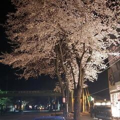 初投稿！お酒飲みながらカラオケとかどうですか？ − 栃木県