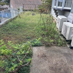 草刈り、草むしり、除草剤、伐採 - 名取市