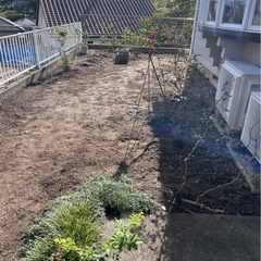 草刈り、草むしり、除草剤、伐採 - 便利屋