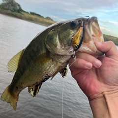 関東バス釣りLINEグループのメンバー募集です！ - 草加市