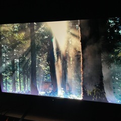 引き取り限定 50インチ液晶テレビ