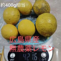 広島県産無農薬レモン