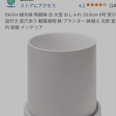 取引中　観葉植物の画像