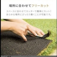 人工芝　5.3mの画像