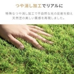 人工芝　5.3mの画像