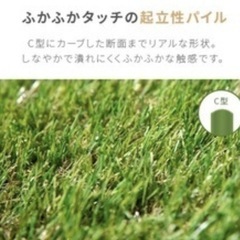 人工芝　5.3mの画像