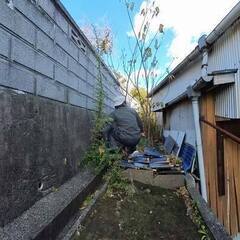 【伐採・草刈り】庭の手入れご依頼作業行ってきました。