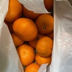 食品