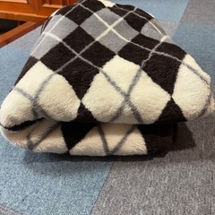 アーガイル柄の毛布の画像